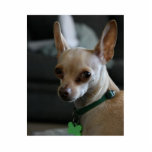 Handsome Chihuahua Statuette<br><div class="desc">Fawn Chihuahua Picture</div>