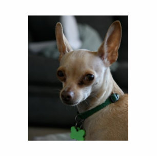 Handsome Chihuahua Statuette