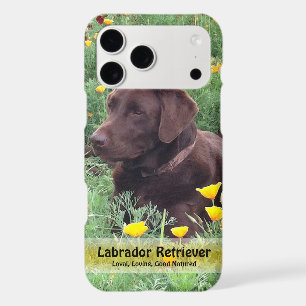 Handsome Chocolate Lab in Poppy Patch iPhone 17 Pro Max Case