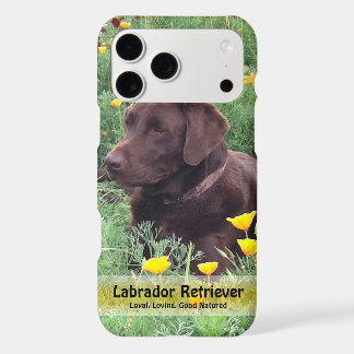 Handsome Chocolate Lab in Poppy Patch iPhone 17 Pro Max Case