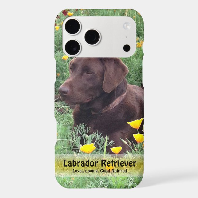 Handsome Chocolate Lab in Poppy Patch Case-Mate iPhone Case (Back)