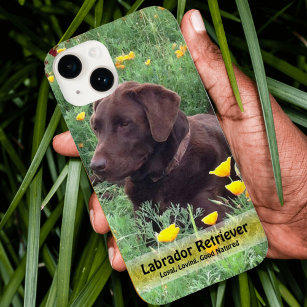 Handsome Chocolate Lab in Poppy Patch Case-Mate iPhone 14 Case