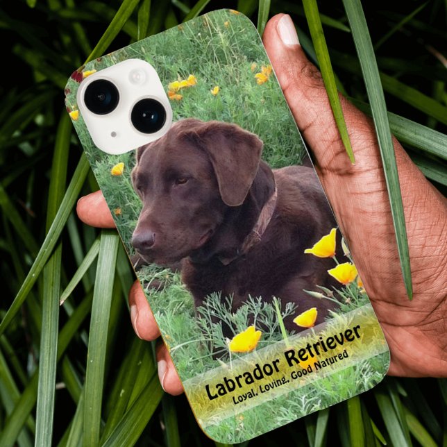 Handsome Chocolate Lab in Poppy Patch Case-Mate iPhone Case (Creator Uploaded)