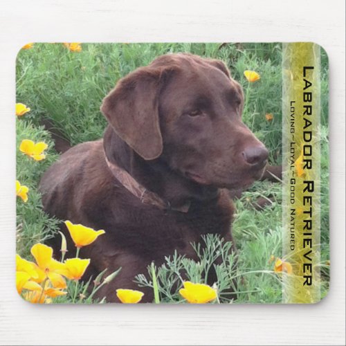 Handsome Chocolate Labrador Retriever Hunting Dog Mouse Pad