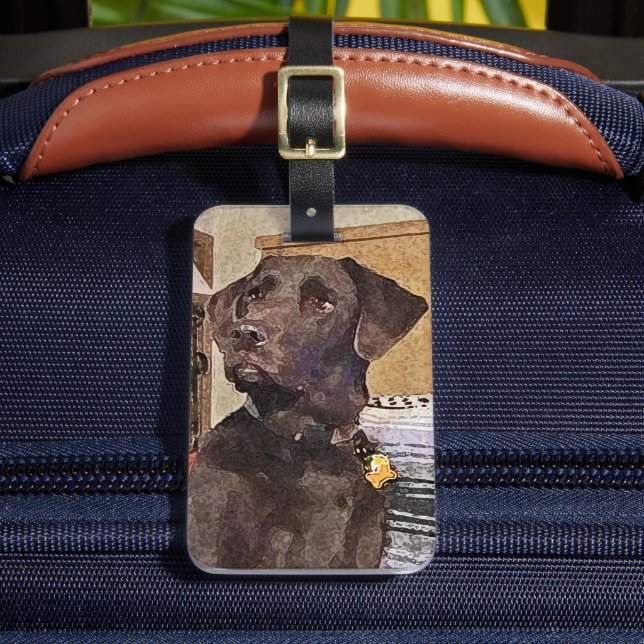 Handsome Chocolate Labrador Retriever Luggage Tag (Front Insitu 2)