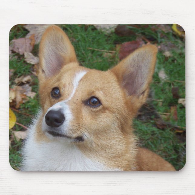 Handsome Corgi Mouse Pad (Front)
