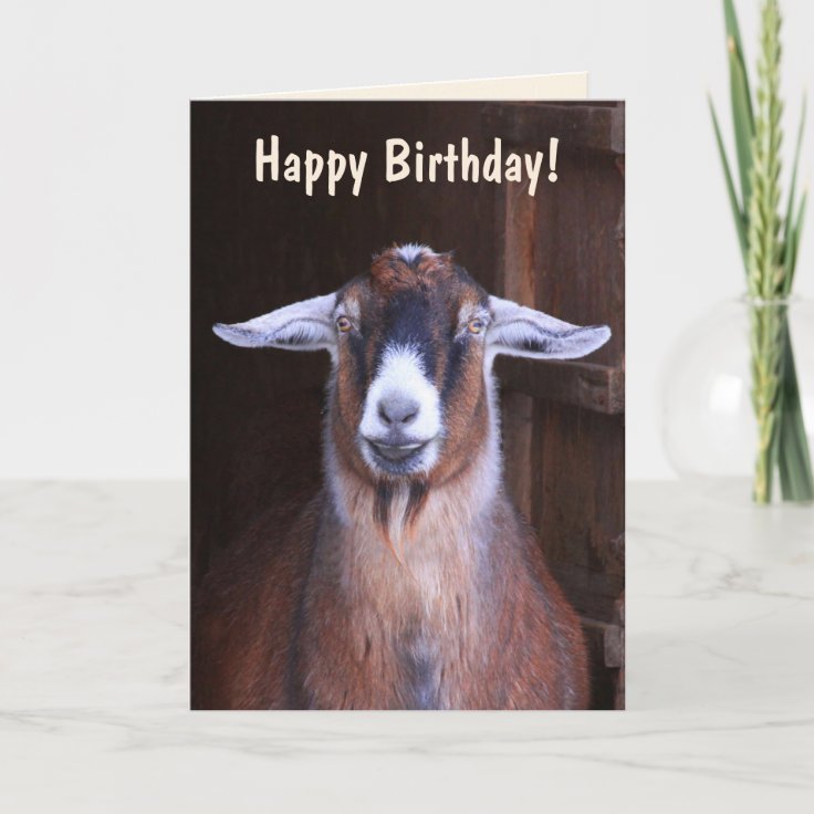 Handsome Goat Birthday Card | Zazzle