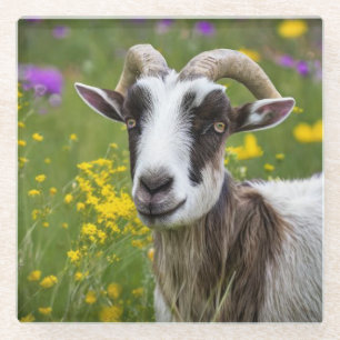 Handsome Goat Glass Coaster