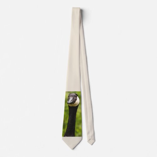 Handsome Goose Neck Tie