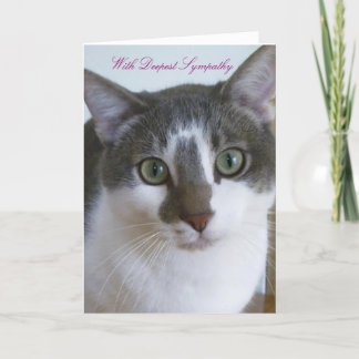 Handsome Gray and White Cat - Pet Sympathy Card