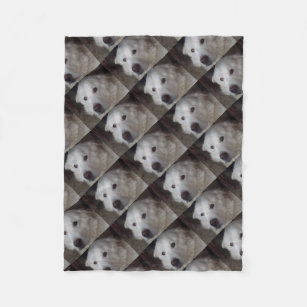 great pyrenees blanket