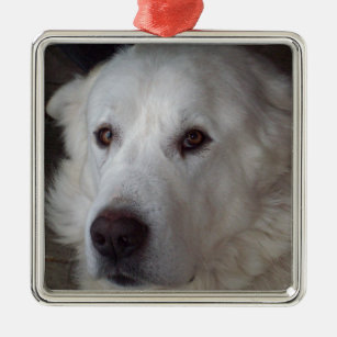 Handsome Great Pyrenees Dog Metal Ornament