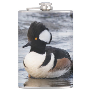 Handsome Hooded Merganser on the Move Flask