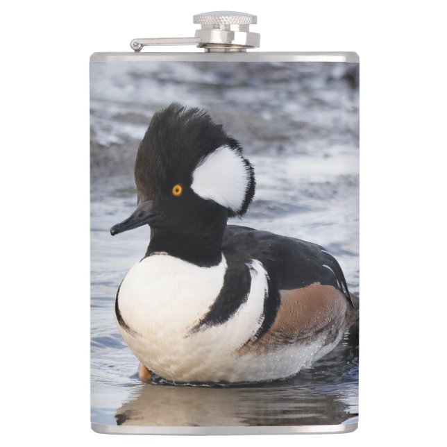 Handsome Hooded Merganser on the Move Flask (Front)