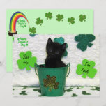 Handsome Jack - Cat / Kitten St. Patrick's Day 