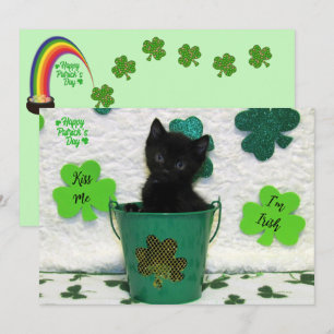Handsome Jack - Cat / Kitten St. Patrick's Day 