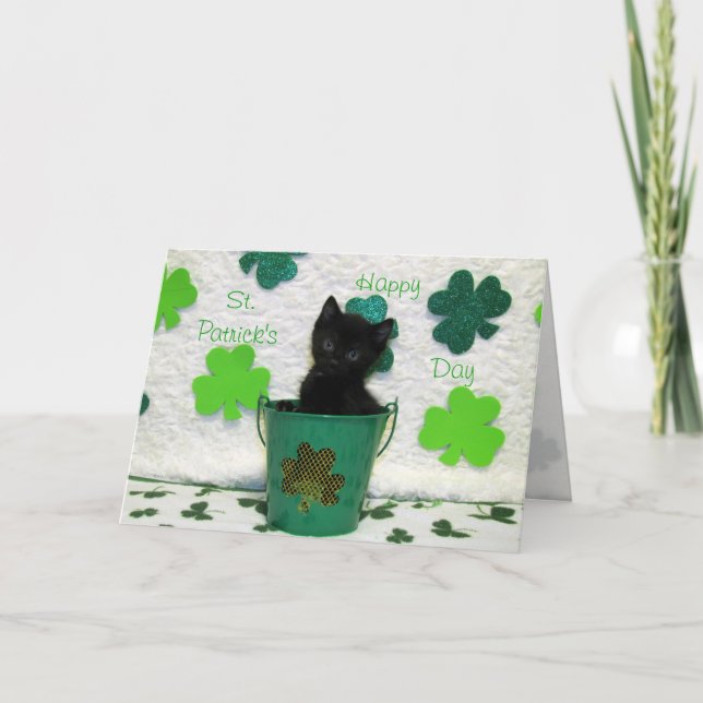 Handsome Jack The St. Patrick's Day Cat  Card (Front)