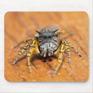 Handsome Jumper looking at you! Mouse Pad