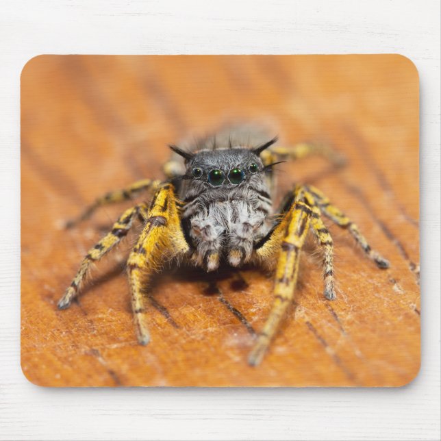 Handsome Jumper looking at you! Mouse Pad (Front)