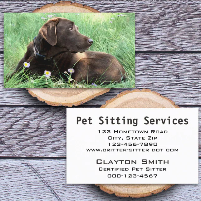 Handsome Labrador Retriever Photograph Animal Care Business Card Zazzle