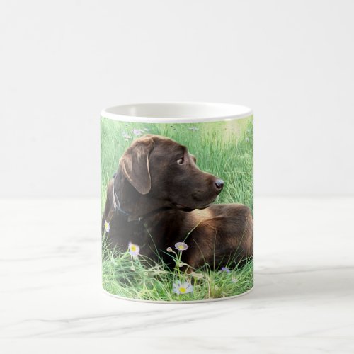 Handsome Labrador Retriever Portrait in Flowers Coffee Mug