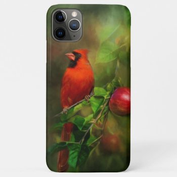 Handsome Male Cardinal Iphone 11 Pro Max Case by Kathys_Gallery at Zazzle