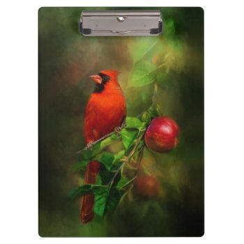 Handsome Male Cardinal Clipboard by Kathys_Gallery at Zazzle