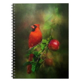 Handsome Male Cardinal Notebook by Kathys_Gallery at Zazzle