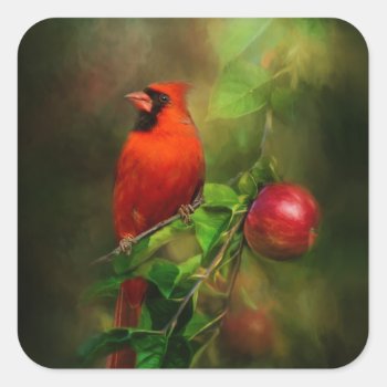 Handsome Male Cardinal Square Sticker by Kathys_Gallery at Zazzle