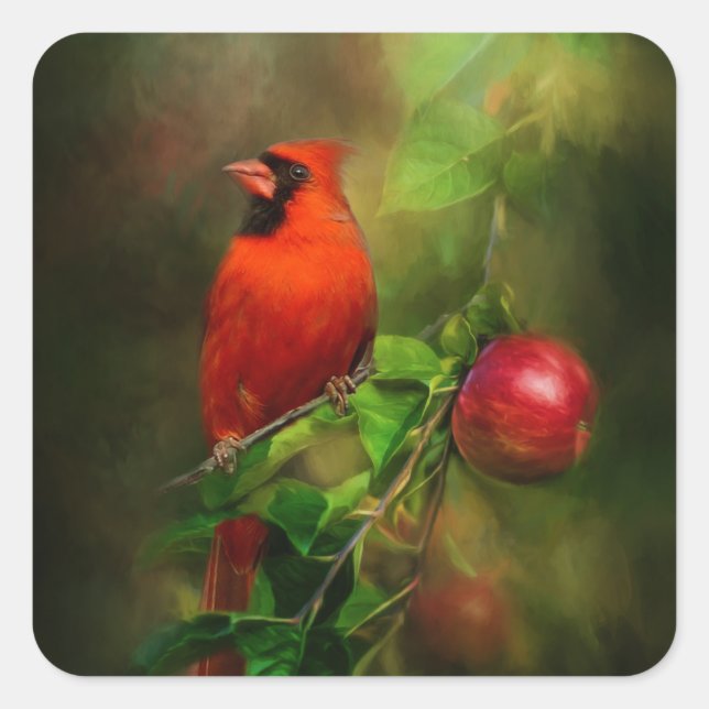 Handsome Male Cardinal Square Sticker (Front)