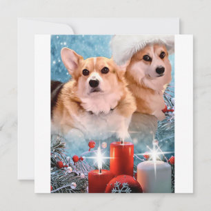 Handsome Pembroke Welsh Corgis  Holiday Card