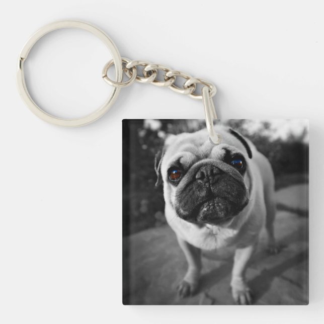 Handsome Pug Keychain (Front)