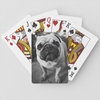 Handsome Pug Playing Cards by Wilderzoo at Zazzle