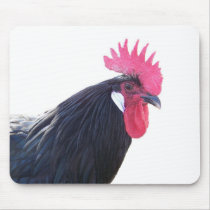 Handsome Rare Black Andalusian Rooster Chicken Mouse Pad