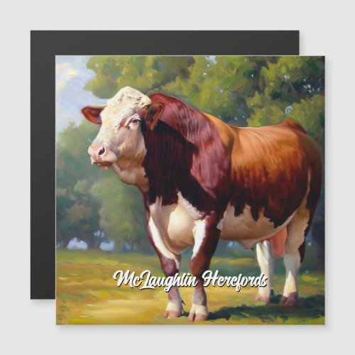 Handsome Red and White Hereford Bull