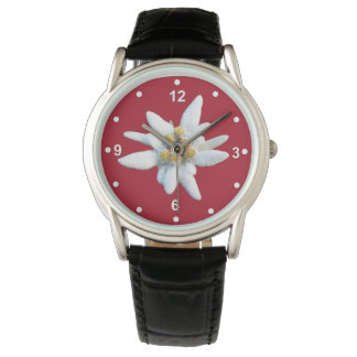 Handsome Red Dail with White Edelweiss Bloom Watch