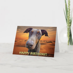 Handsome red doberman birthday card