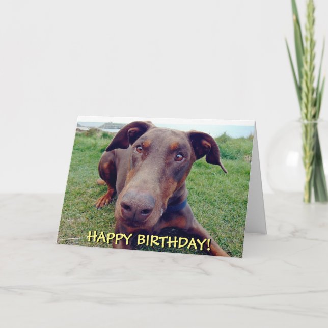 Handsome red doberman birthday card (Front)