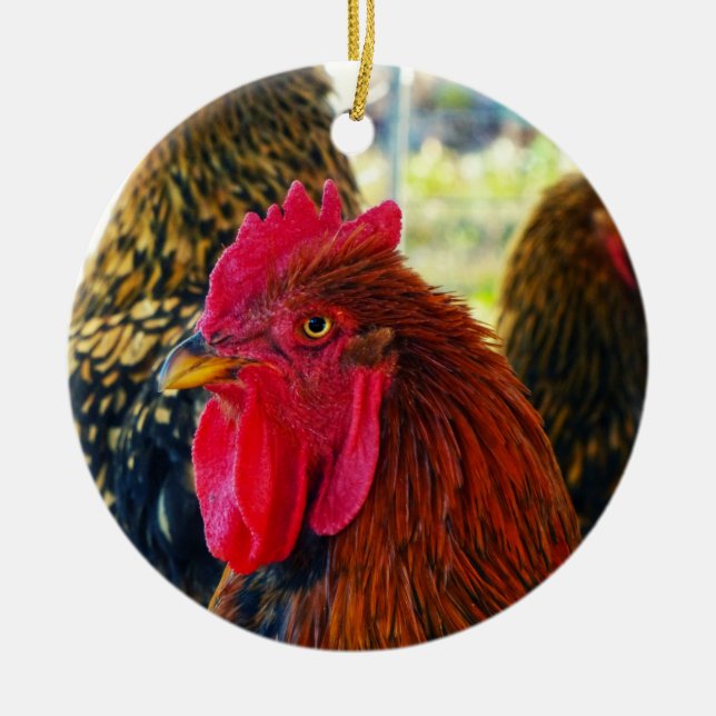 Handsome Rooster Ceramic Ornament (Front)