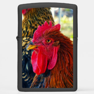 Handsome Rooster Zippo Lighter