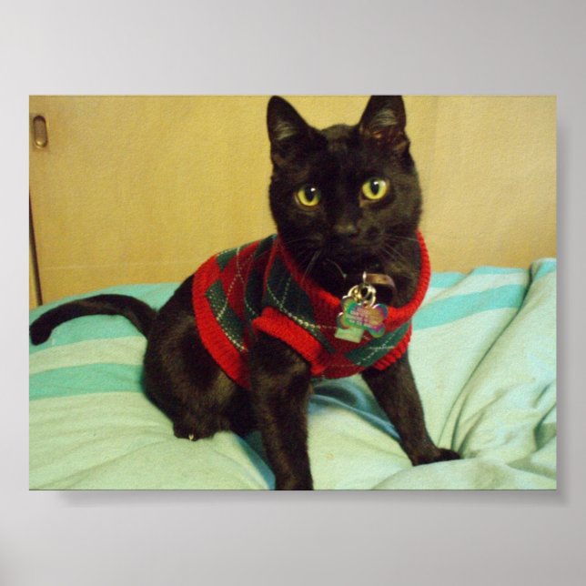 Handsome Seimei Poster Print (Front)