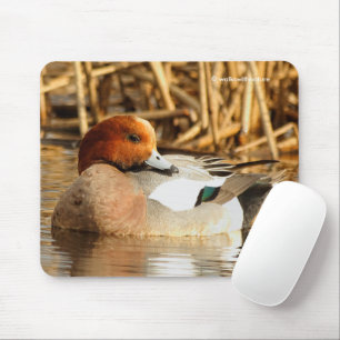 Handsome Stranger Eurasian Wigeon Duck at the Pond Mouse Pad