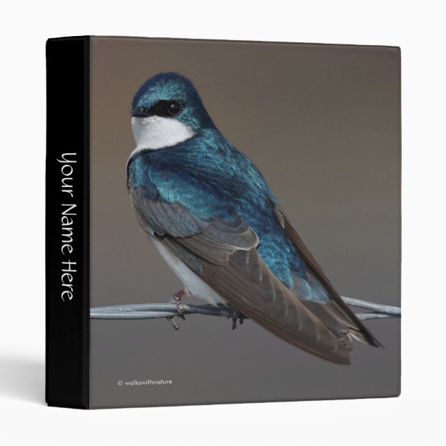 Handsome Tree Swallow: Bird on a Wire Binder (Front/Spine)