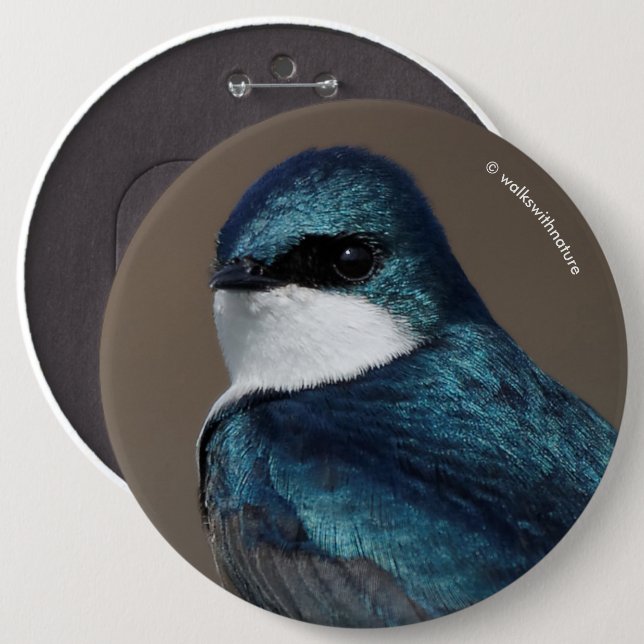 Handsome Tree Swallow: Bird on a Wire Button (Front & Back)