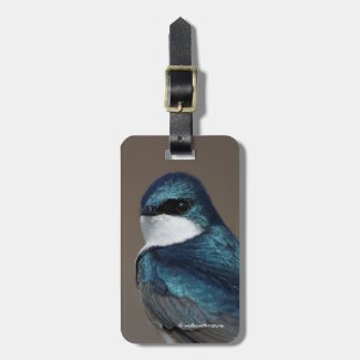 Handsome Tree Swallow: Bird on a Wire Luggage Tag