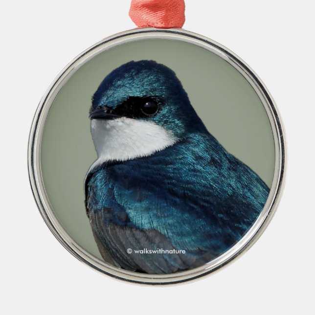 Handsome Tree Swallow Blue Songbird Metal Ornament (Front)