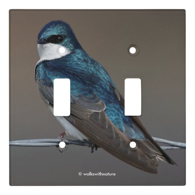 Handsome Tree Swallow Songbird on a Wire Light Switch Cover (Front)