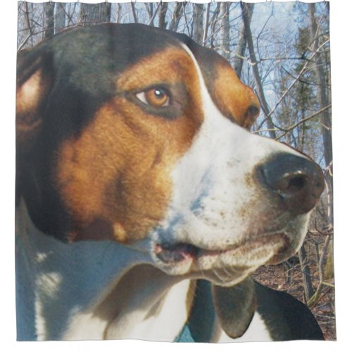 Handsome Treeing Walker Coonhound Shower Curtain