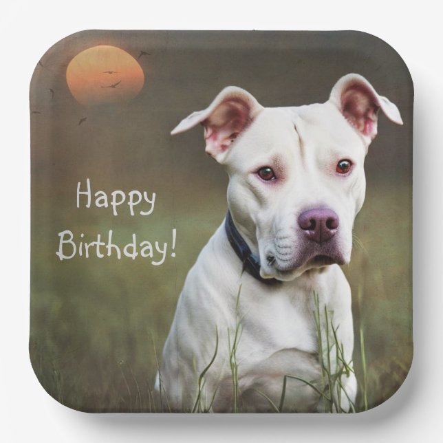 Handsome White Pitbull Birthday Paper Plates (Front)