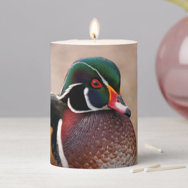 Handsome Wood Duck on Gravel Pillar Candle (In Situ)